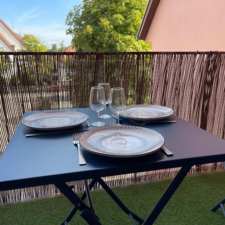 Le Cosy Des Marronniers - 6 Pers Apartment Selestat Ngoại thất bức ảnh