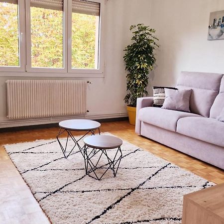 Le Cosy Des Marronniers - 6 Pers Apartment Selestat Ngoại thất bức ảnh